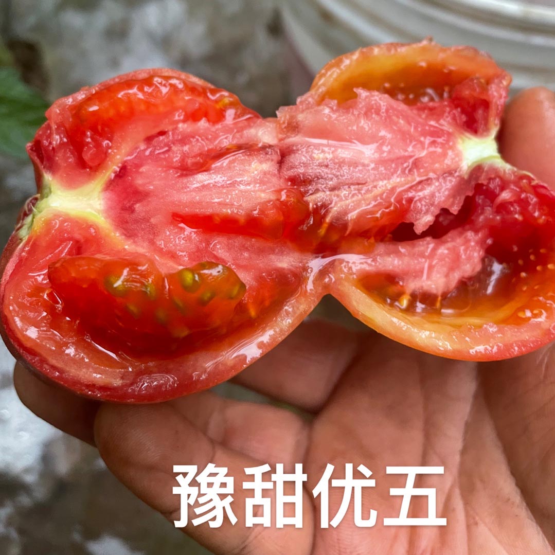 Ӯ76net·