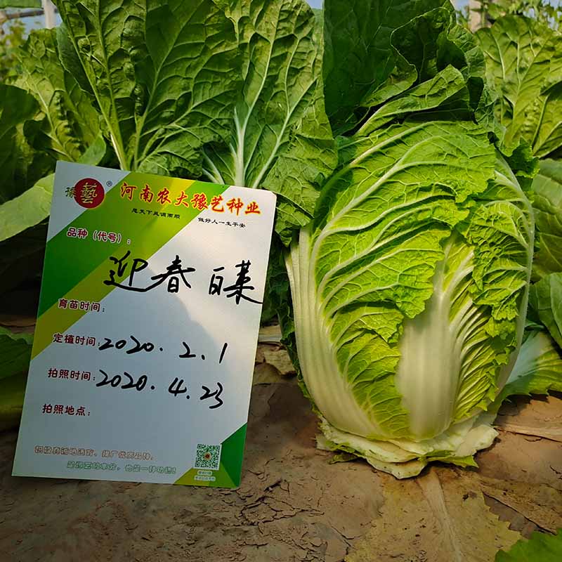 Ӯ76net·ӭײ